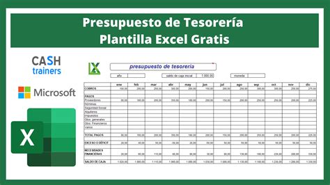 Presupuesto De Tesorería Plantilla Excel Gratis
