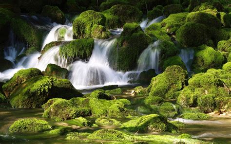 Landscape Nature Beautiful Forest Area Wild Sky Landscapes