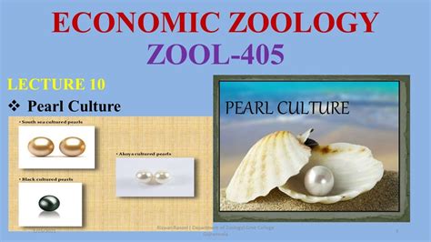 Pearl Culture Artificial Pearls Gem Formation Pearl Formation By