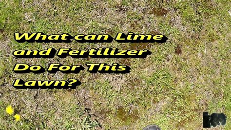 Results Of Adding Lime And Fertilizer To Lawn Before And After Youtube