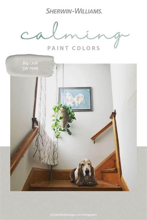 Chill Out With Paint Colors Sherwin Williams Paint Colors Calming