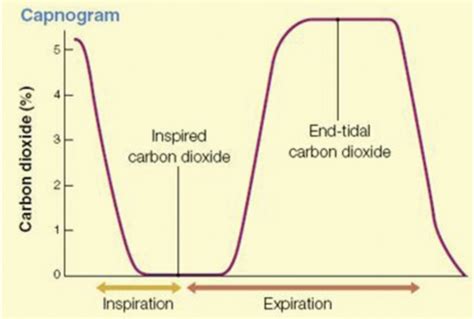 Assessment Of Ventilation And Oxygenation Flashcards Quizlet