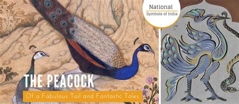 The Peacock Of A Fabulous Tail And Fantastic Tales The Heritage Lab