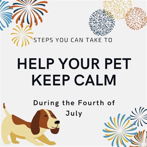 How To Keep Your Pet Calm This Fourth Of July The Front