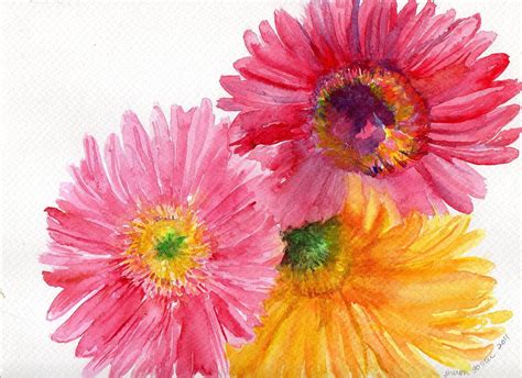 Watercolor Painting Of Colorful Gerbera Daisies By Sharonfosterart