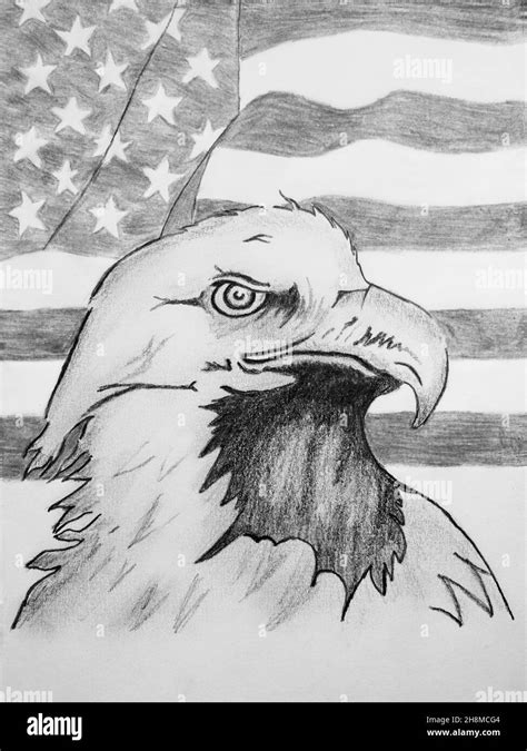 Bald Eagle With Flag Black And White Stock Photos And Images Alamy