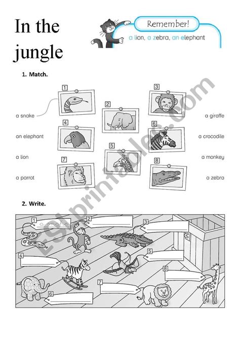 In The Jungle Esl Worksheet By Meslain