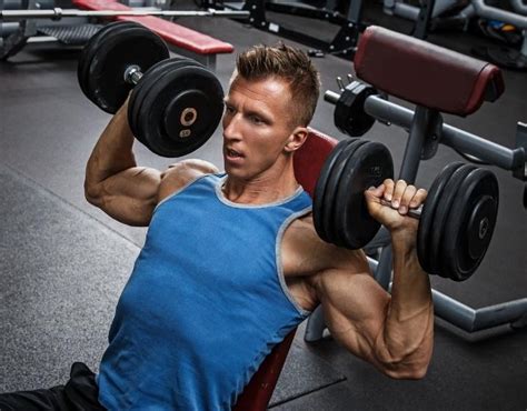 A Comprehensive Guide To Building Muscle Artfer