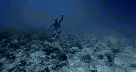 Ocean Gravity Freediver Guillaume Nery “flies” Underwater In Swift