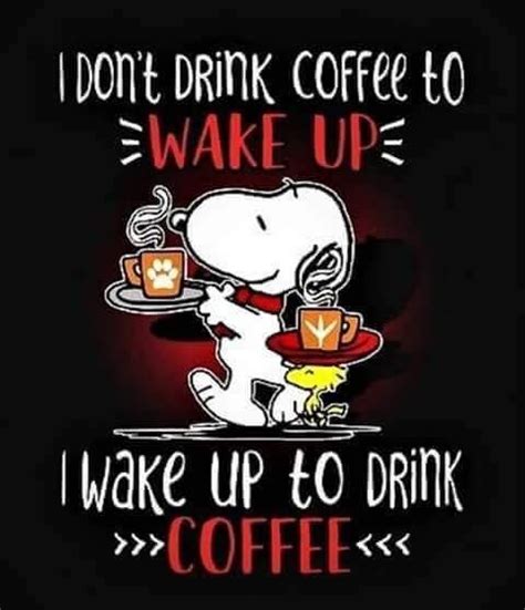 Pin By Barb Kleinfelter On Makes Me Laugh Snoopy Quotes Snoopy Funny