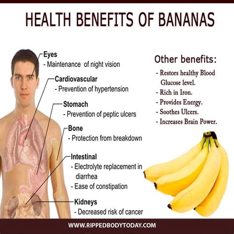 banana health benefits👍👍 musely