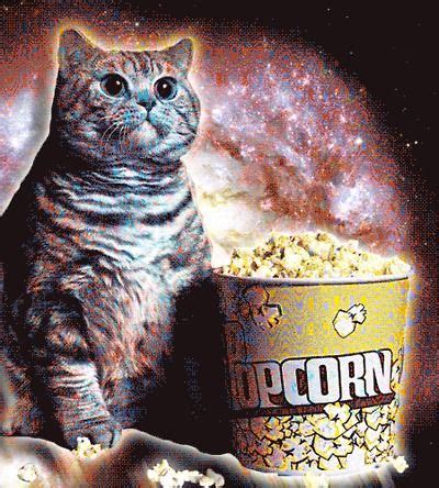 Popcorn is a lovely treat for us humans, but is it really acceptable to feed your cat popcorn? Get Out the Popcorn, Progressives - Trumped Progressives