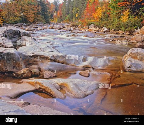 Rocky Stream Bed Of The Swift River In Autumn Rocky Gorge Scenic Area