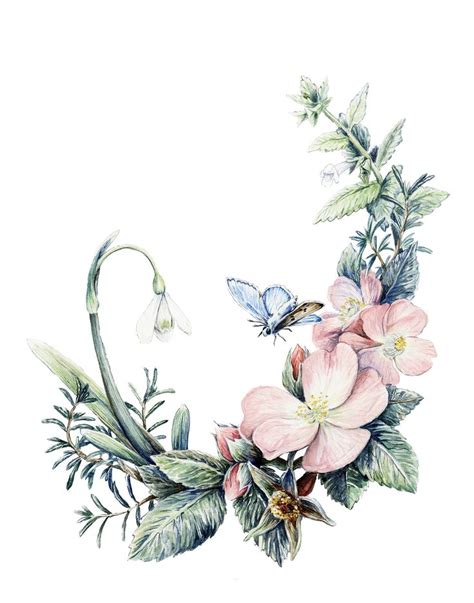In Deepest Sympathy Card On Behance Flower Drawing Flower Art