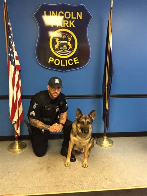 Lincoln Park K 9 Officer Kato ‘not Happy About His Retirement