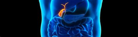 Bile consists of water, electrolytes, bile acids, cholesterol, phospholipids and conjugated bilirubin. 10 Best Cancer Treatment in Bangalore|Clinic for Cancer