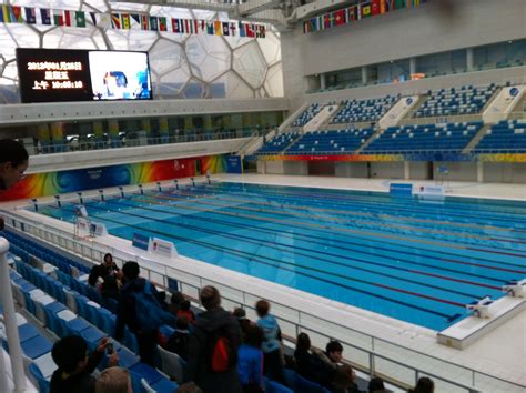 Whatever your interests, talents, background and availability, there are opportunities for you. 47+ Olympic Swimming Pool Wallpaper on WallpaperSafari