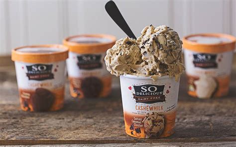 If you're shopping for vegan products, you've come to the right place. 10 Store-Bought Vegan Ice Creams That Are Better Than 'The Real Thing' - One Green Planet