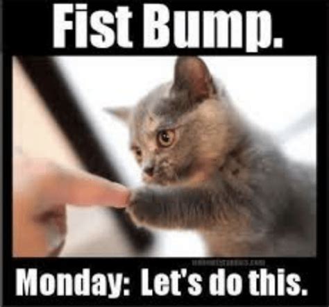 Happy Monday ☀️ Let's make it great! | Funny monday memes, Monday memes, Monday humor