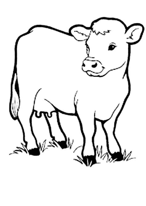 Printable Baby Cow Coloring Pages A Castrated Male Kept For Draft