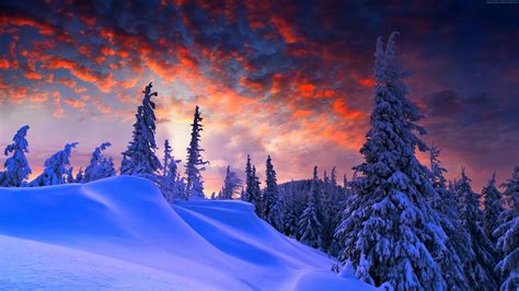 Wallpaper Forest Snow Winter Sunrise Clouds 8k Nature Wallpaper