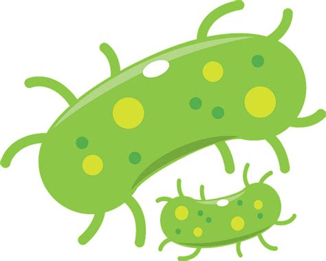 Bacteria Clipart Clip Art Bacteria Clip Art Transparent Free For