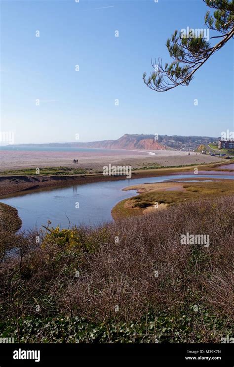 Salt Marsh And Shingle Beach At The Mouth Of The River Otter Budleigh Salterton East Devon
