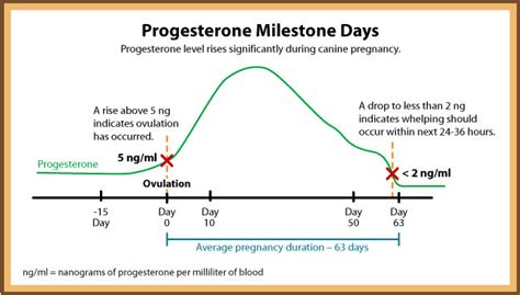 pregnancy progesterone levels low natural fertility methods 6th