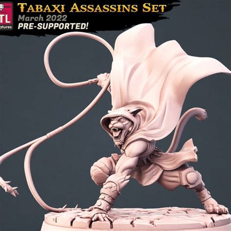Tabaxi Rogue Resin Miniature Dnd Miniatures Dungeons And Etsy