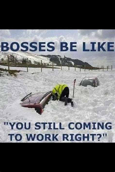 Snow Days Work Humor Funny Pictures Funny Memes