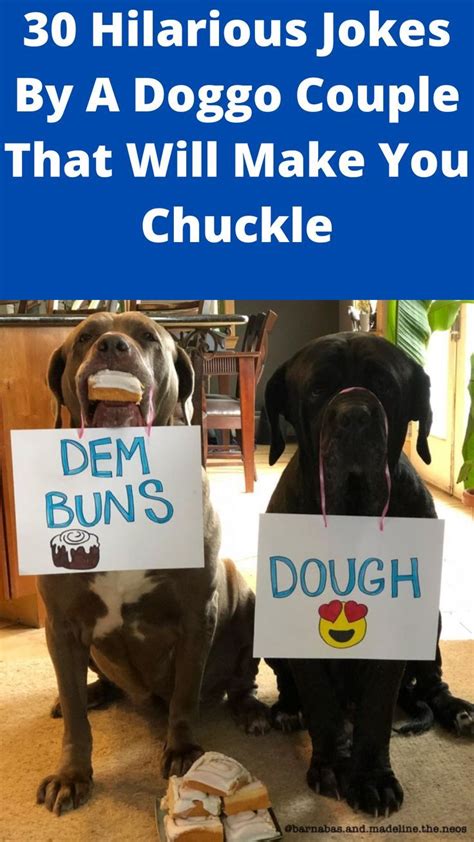 30 Hilarious Jokes By A Doggo Couple That Will Make You Chuckle Funny