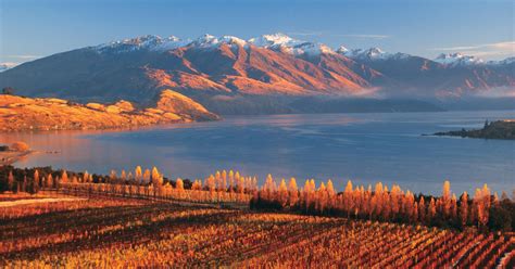 Discover Autumn In New Zealand 100 Pure Nz