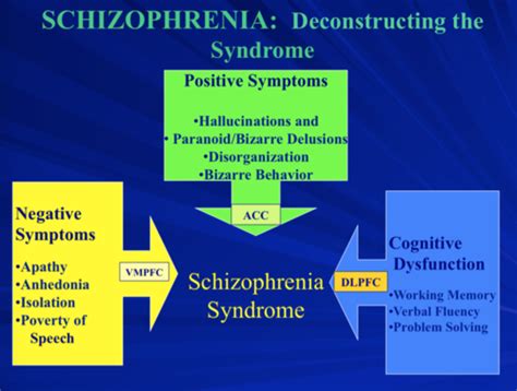 Schizophrenia And Affective Disorders Flashcards Quizlet