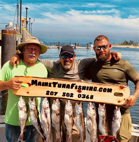 Maines Offshore Fin Fishing Coastal Angler And The Angler Magazine