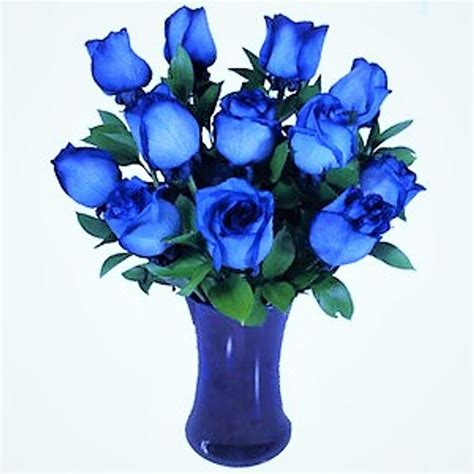 a dozen blue roses in a blue vase by flowers story london florists and flower delivery ontario