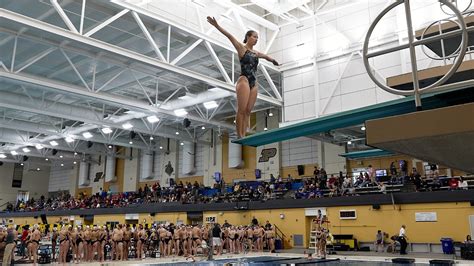Daryn Wright Womens Swimming And Diving Purdue Boilermakers
