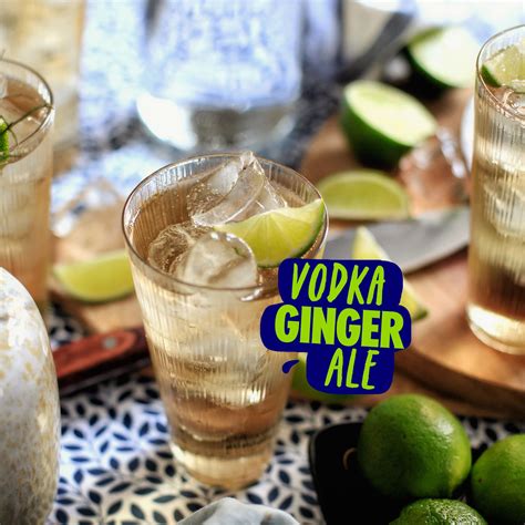 Vodka Ginger Ale Rezept Absolut Drinks