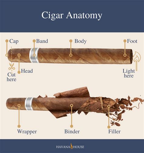 The Anatomy Of A Cigar Understanding Parts Of A Cigar Havana House