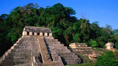 Piramidy W Palenque Ukryte W Dżungli Miasto Majów Meksyk Majowie