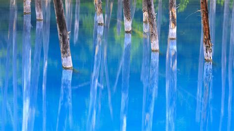 Blue Pond Japan Bing Wallpaper Download