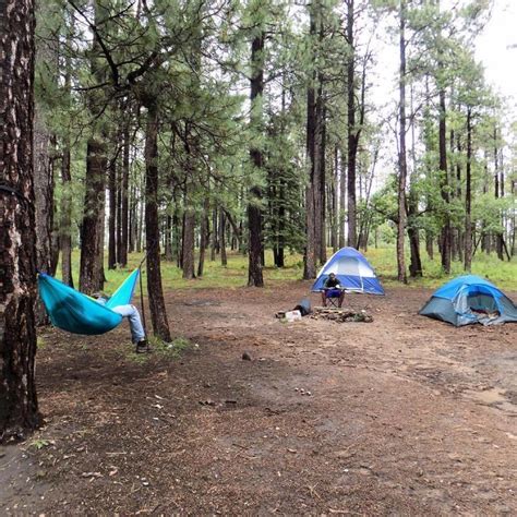 Forest Camping Spots Near Me Best Camping Place Forestcamping