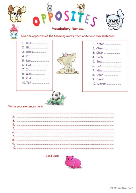 Opposites English Esl Worksheets Pdf Doc