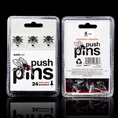 Fly Push Pins Real Looking House Flies Crawling On Your Pinboard