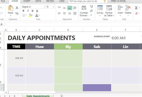 They are easy to use, customize and print. Daily Appointment Calendar Template For Excel