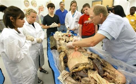 Kids Dissect Cadavers At Augustanas Distinctive Science Camp