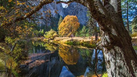 Merced River Yosemite National Park Backiee