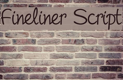 The fineliner script font contains 301 beautifully designed characters. Fineliner Script Font - FFonts.net