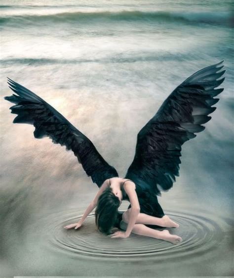 Pin By Tom Wilson On Angels Fallen Angel Angel Pictures Dark Angel