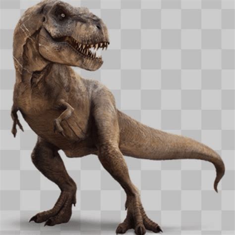 Curiosidades Sobre O Tiranossauro Dinos Tephix Vrogue Co
