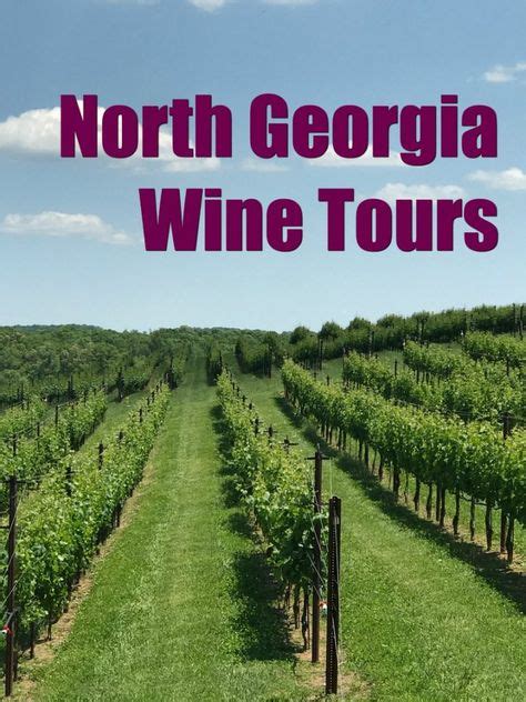 7 Beautiful North Georgia Wineries And Vineyards Dahlonega Wineries